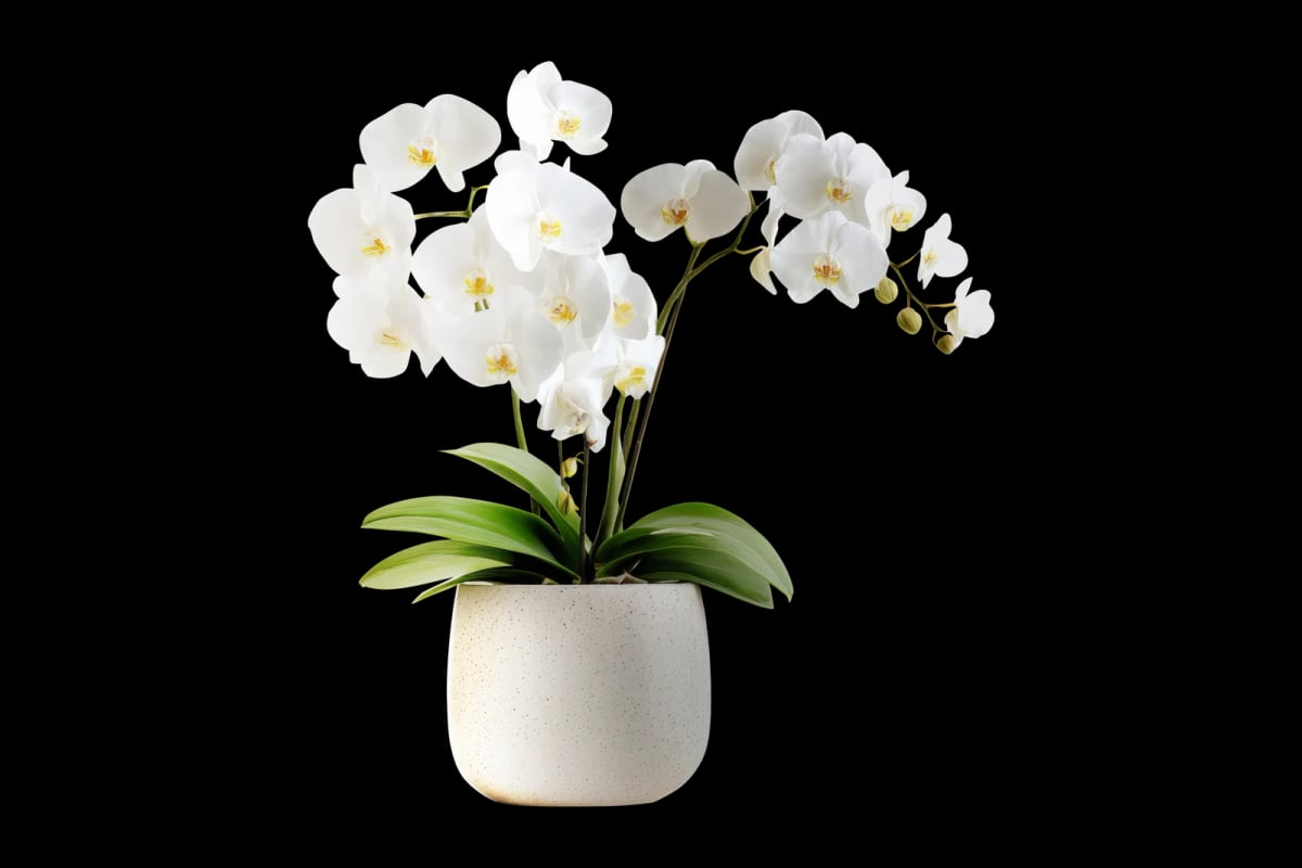 Freie Therapieplätze in Stuttgart