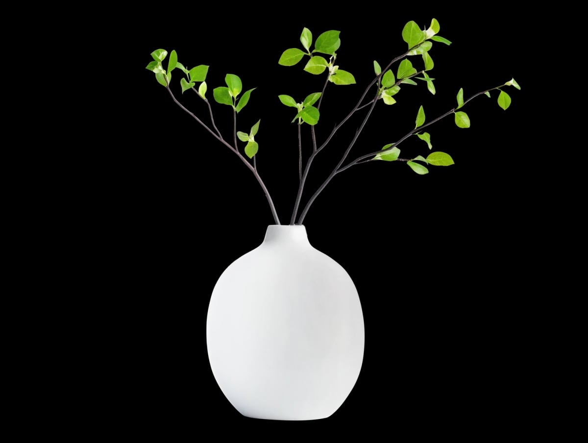 Privatpraxis für Psychotherapie: Professionelle psychotherapeutische Betreuung in angenehmer Atmosphäre