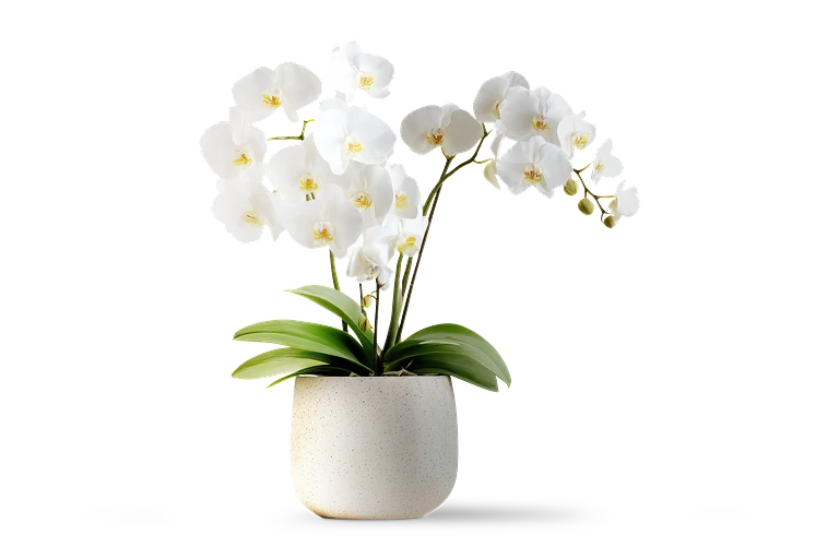 Freie Therapieplätze in Stuttgart