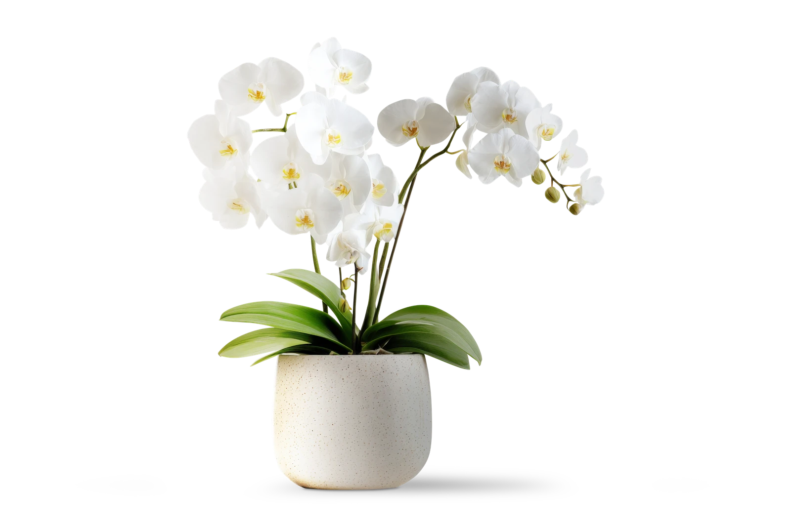 Freie Therapieplätze in Stuttgart