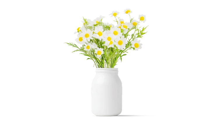 Häufige Fragen zur Psychotherapie.